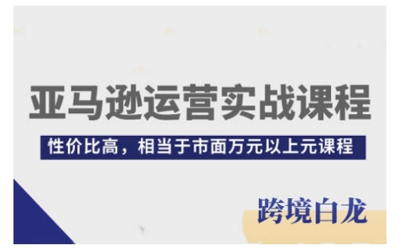 亚马逊运营实战课程，亚马逊从入门到精通，性价比高，相当于市面万元以上元课程-财创网