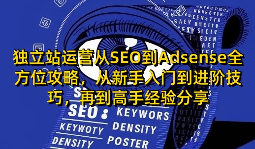 独立站运营从SEO到Adsense全方位攻略，从新手入门到进阶技巧，再到高手经验分享-财创网