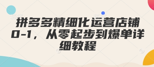 拼多多精细化运营店铺0-1，从零起步到爆单详细教程-财创网