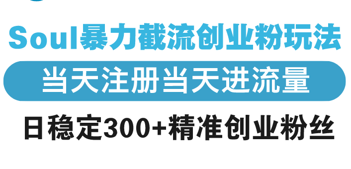 Soul暴力截流创业粉玩法，当天注册当天进流量，日稳定300+精准创业粉丝-财创网