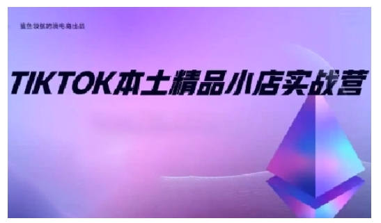 TikTok本土精品小店出海实战营，从入门到高阶，不止0-1!-财创网