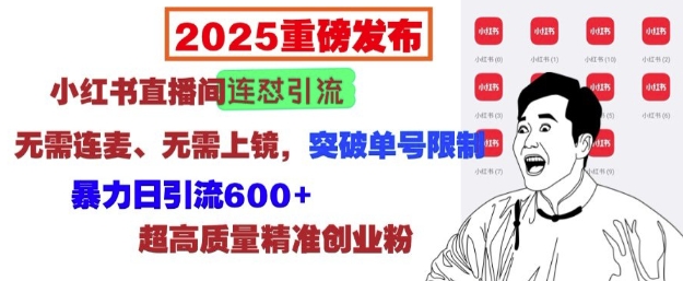 2025重磅发布：小红书直播间连怼引流，无需连麦、无需上镜，突破单号限制，暴力日引流600+-财创网