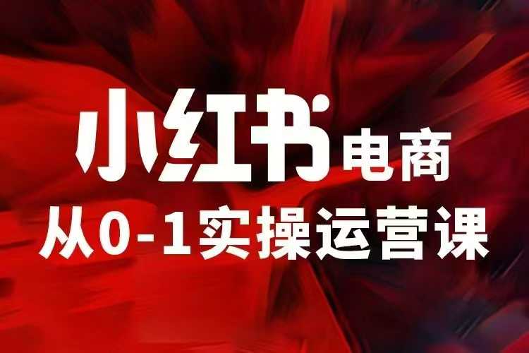 小红书电商运营，97节小红书vip内部课，带你实现小红书赚钱-财创网