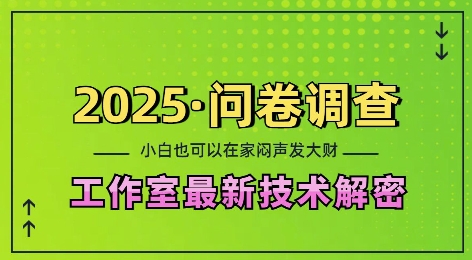 2025问卷调查最新工作室技术解密：一个人在家也可以闷声发大财，小白一天2张，可矩阵放大【揭秘】-财创网