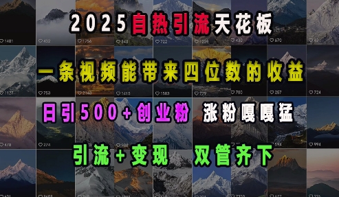 2025自热引流天花板，一条视频能带来四位数的收益，引流+变现双管齐下，日引500+创业粉，涨粉嘎嘎猛-财创网