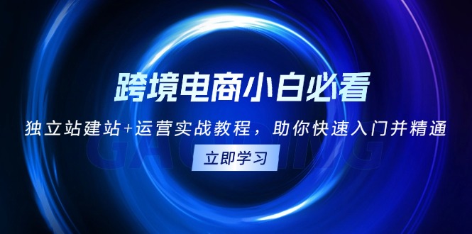 跨境电商小白必看！独立站建站+运营实战教程，助你快速入门并精通-财创网