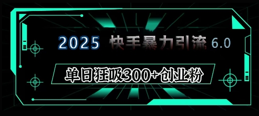 2025年快手6.0保姆级教程震撼来袭，单日狂吸300+精准创业粉-财创网