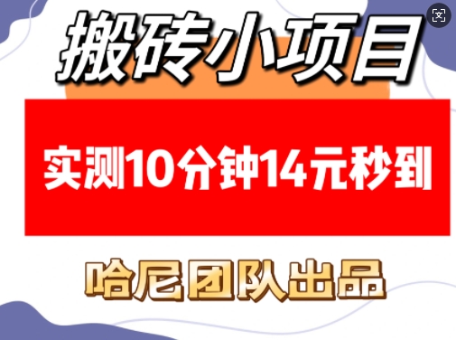 搬砖小项目，实测10分钟14元秒到，每天稳定几张(赠送必看稳定)-财创网