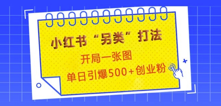 小红书“另类”打法，开局一张图，单日引爆500+精准创业粉【揭秘】-财创网