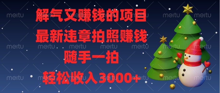 解气又赚钱的项目，最新违章拍照赚钱，随手一拍，轻松收入3000+-财创网