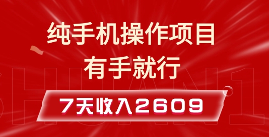 纯手机操作的小项目，有手就能做，7天收入2609+实操教程【揭秘】-财创网