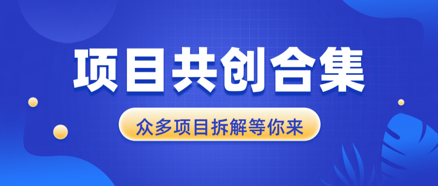 项目共创合集，从0-1全过程拆解，让你迅速找到适合自已的项目-财创网