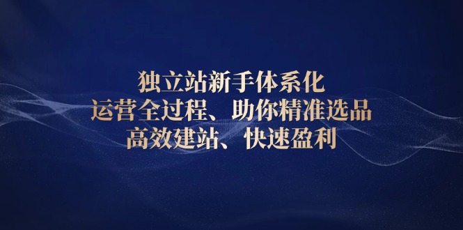 独立站新手体系化 运营全过程，助你精准选品、高效建站、快速盈利-财创网