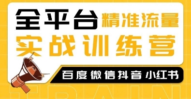 全平台精准流量实战训练营，百度微信抖音小红书SEO引流教程-财创网